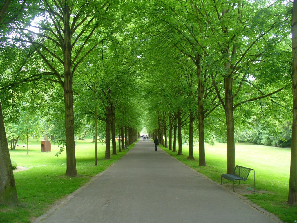 Ferienwohnung Rheinaue Koln Bagian luar foto