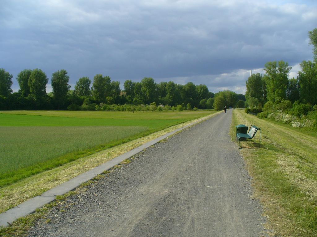 Ferienwohnung Rheinaue Koln Bagian luar foto